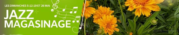 Jazz magasinage