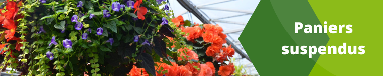Paniers suspendus