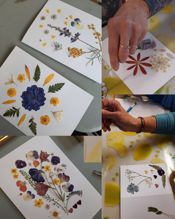 Évènement_Atelier : Initiation au pressage de fleurs et création carte de souhaits_ Serres St-Élie