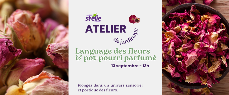 Langage des fleurs & pot-pourri parfumé