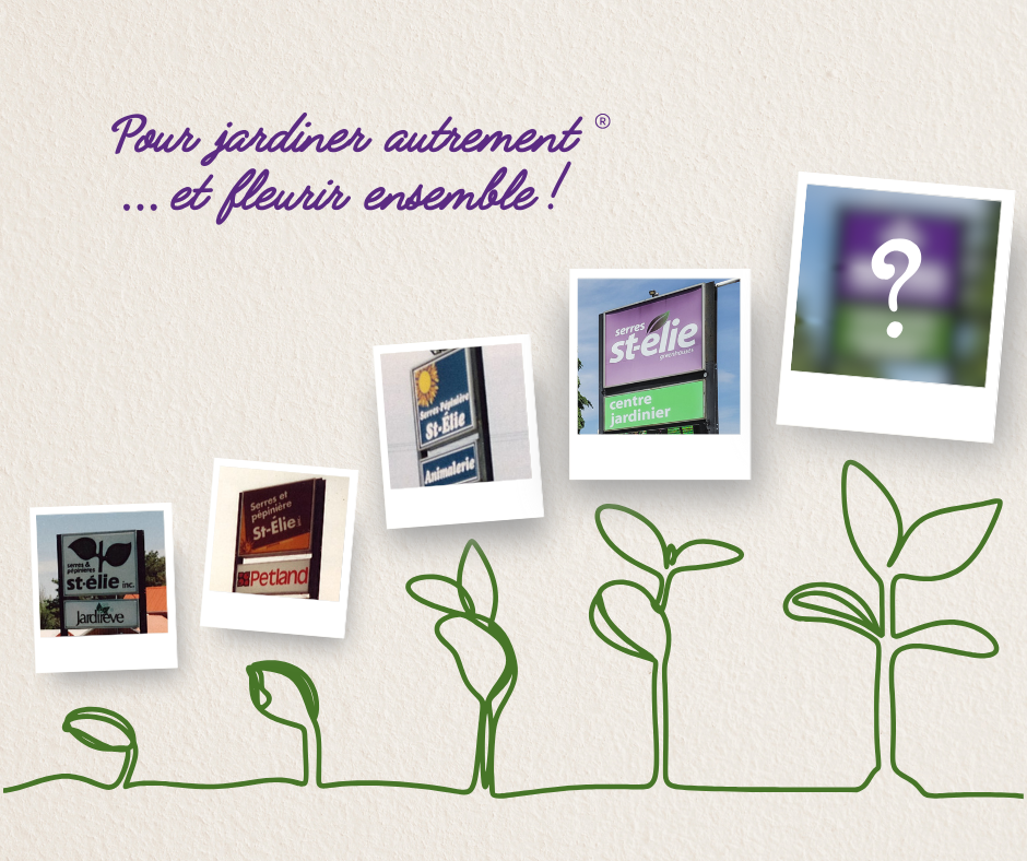 Évènement_Dévoilement du logo