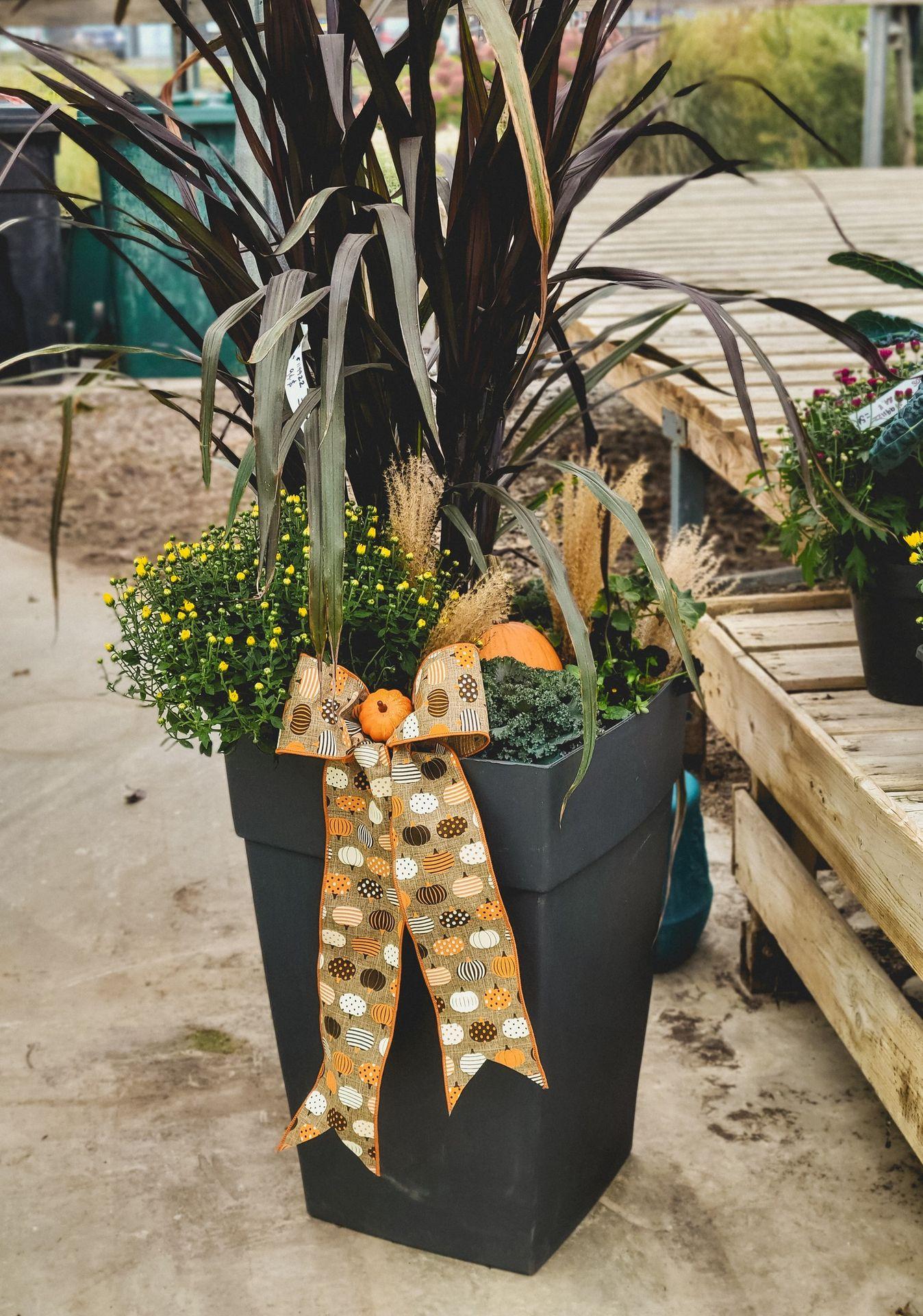 Confection pots pour extérieur