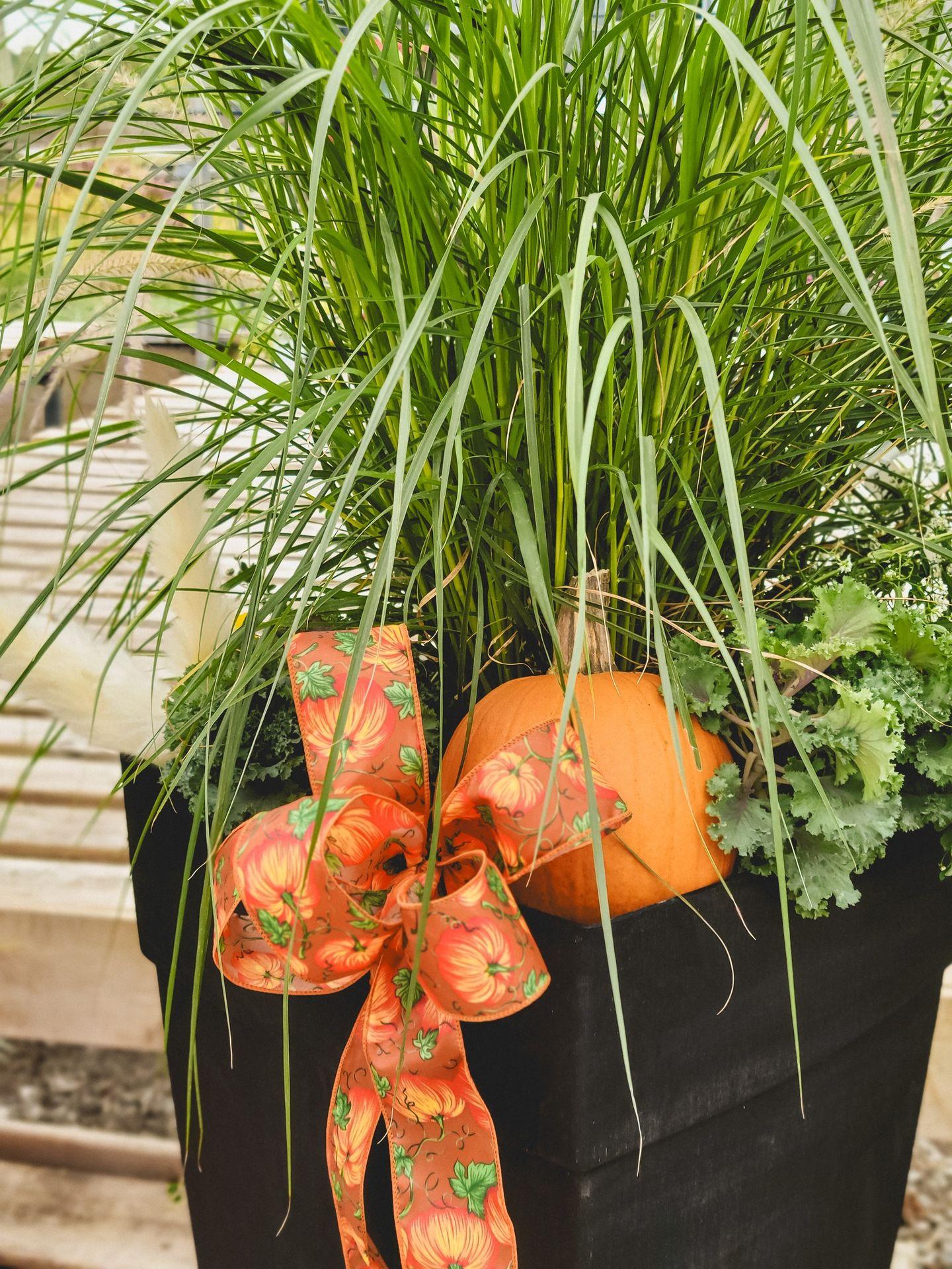 Confection pots pour extérieur