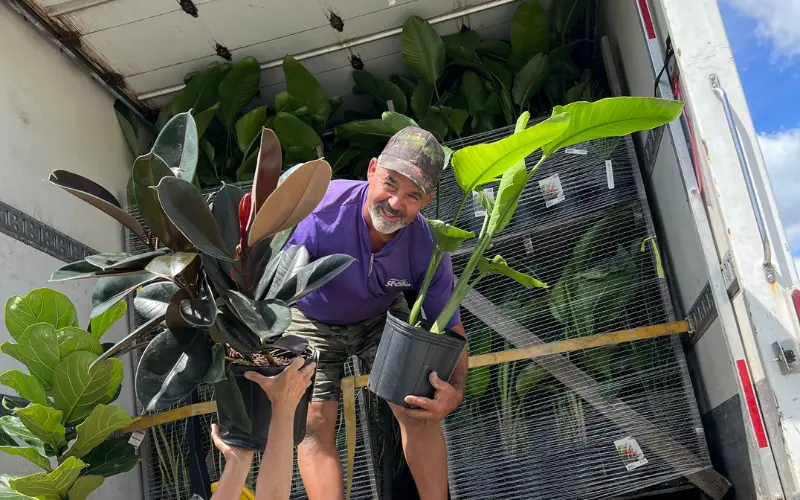 Serres St-Élie_Serres de Production_Végétaux_Fleurs annuelles_service de livraison 