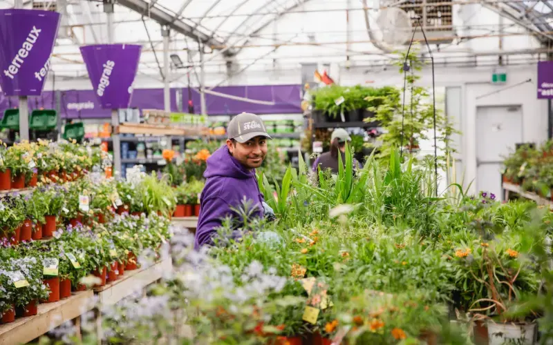 Serres St-Élie_Serres de Production_Végétaux_Fleurs annuelles_Diagnostique de plantes