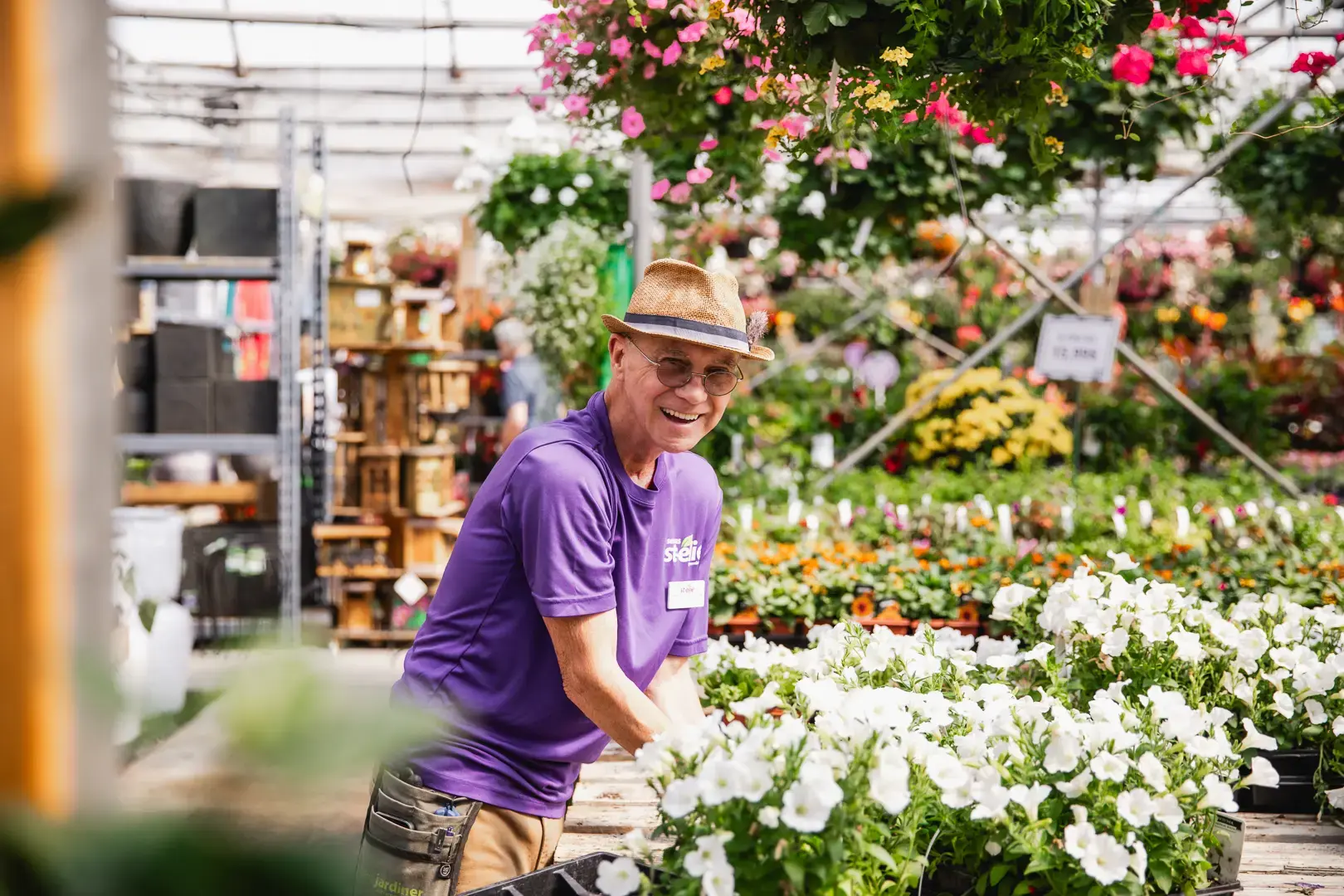 Serres St-Élie_Serres de Production_Végétaux_Fleurs annuelles