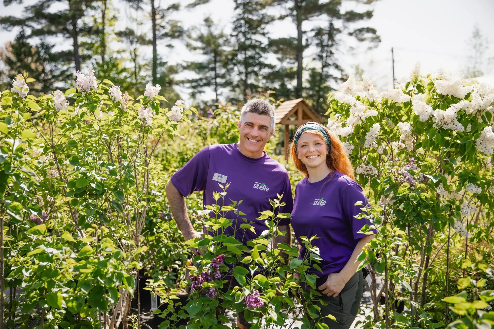 Serres St-Élie_Serres de Production_Végétaux_Fleurs annuelles_Pépinière