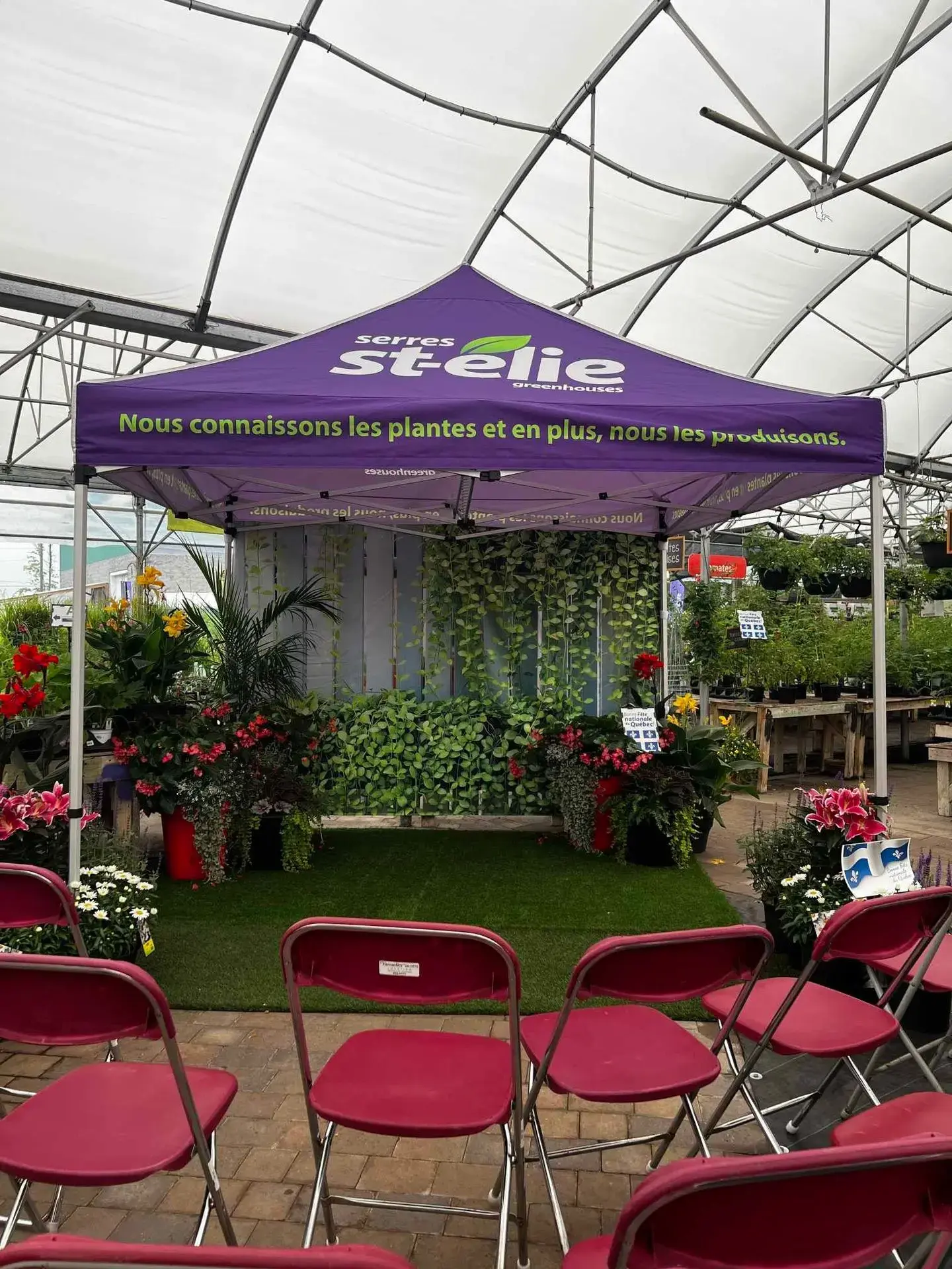 Serres St-Élie_Serres de Production_Végétaux_Fleurs annuelles_Évènement