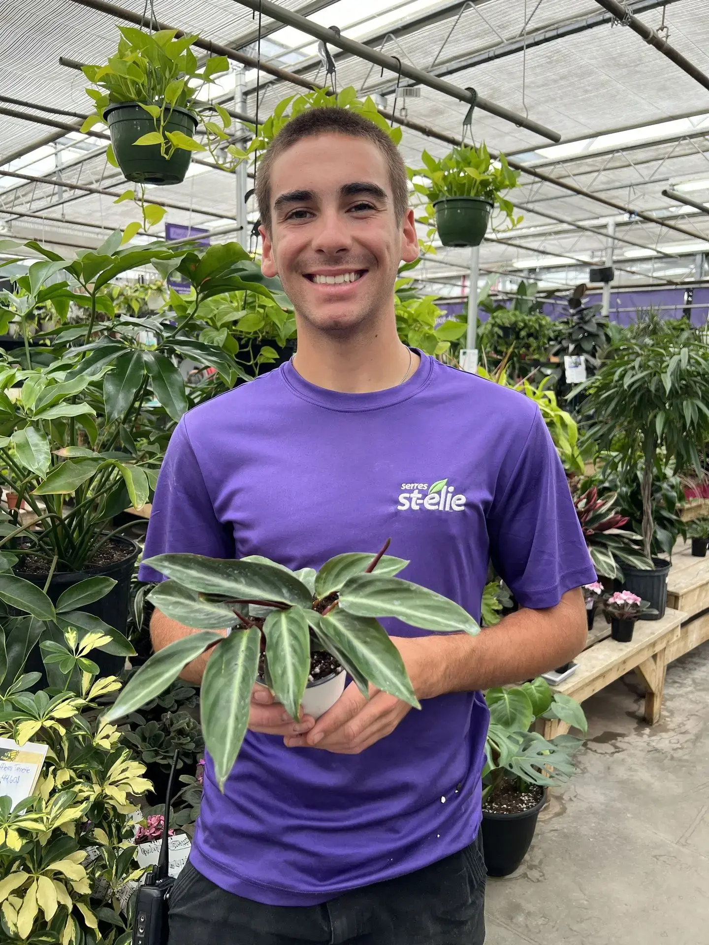 Serres St-Élie_Campagne verte_Vente de plantes_Végétaux