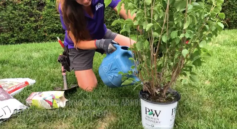 Serres St-Élie_Coach et Consultation à domicile_Francine_Jardin_Plate bande_Végétaux Serres St-Élie_Coach et Consultation à domicile_Francine_Jardin_Plate bande_Végétaux