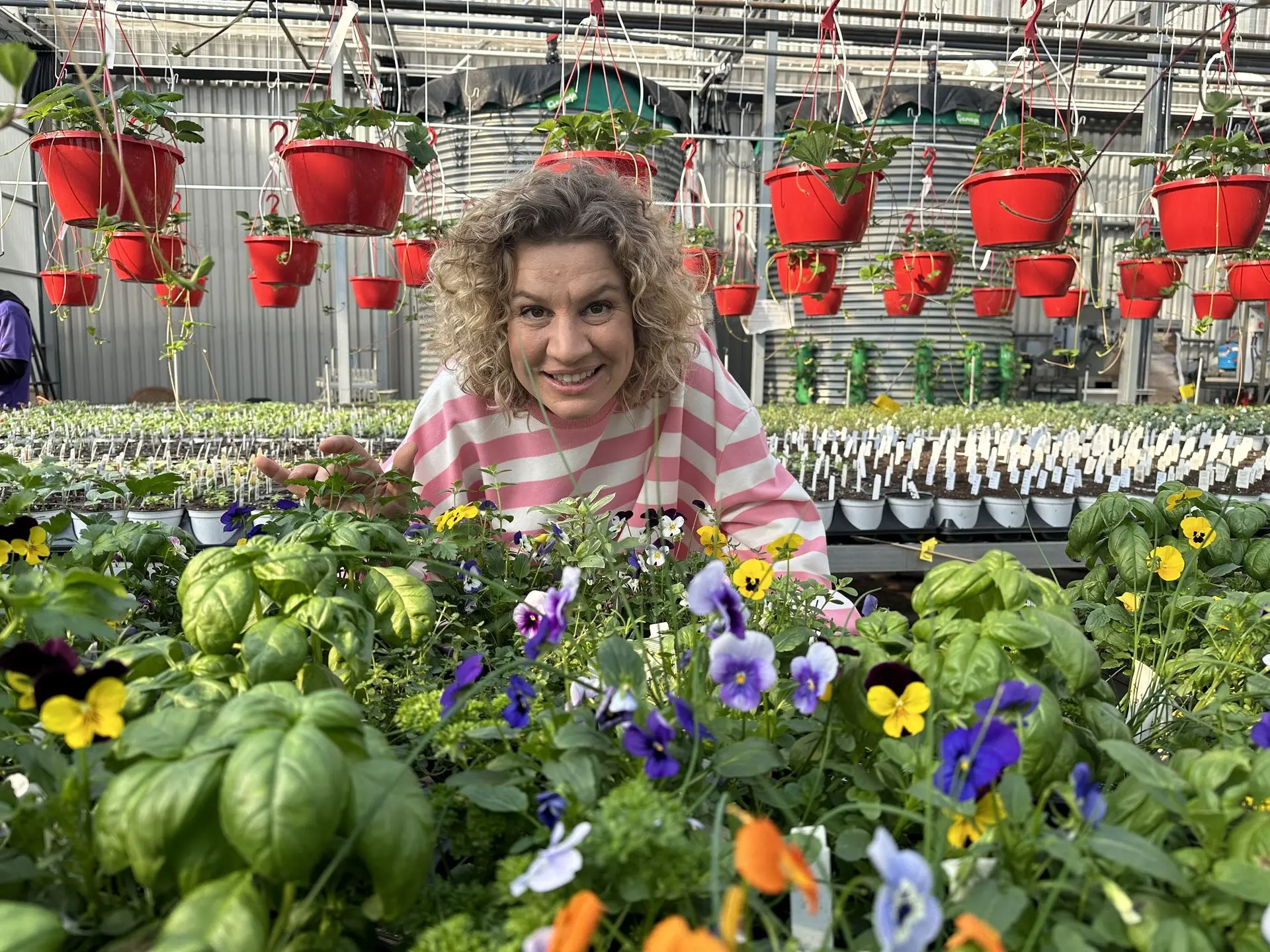 Accueil_Centre jardin_Mélanie Grégoire_Serres St-Élie