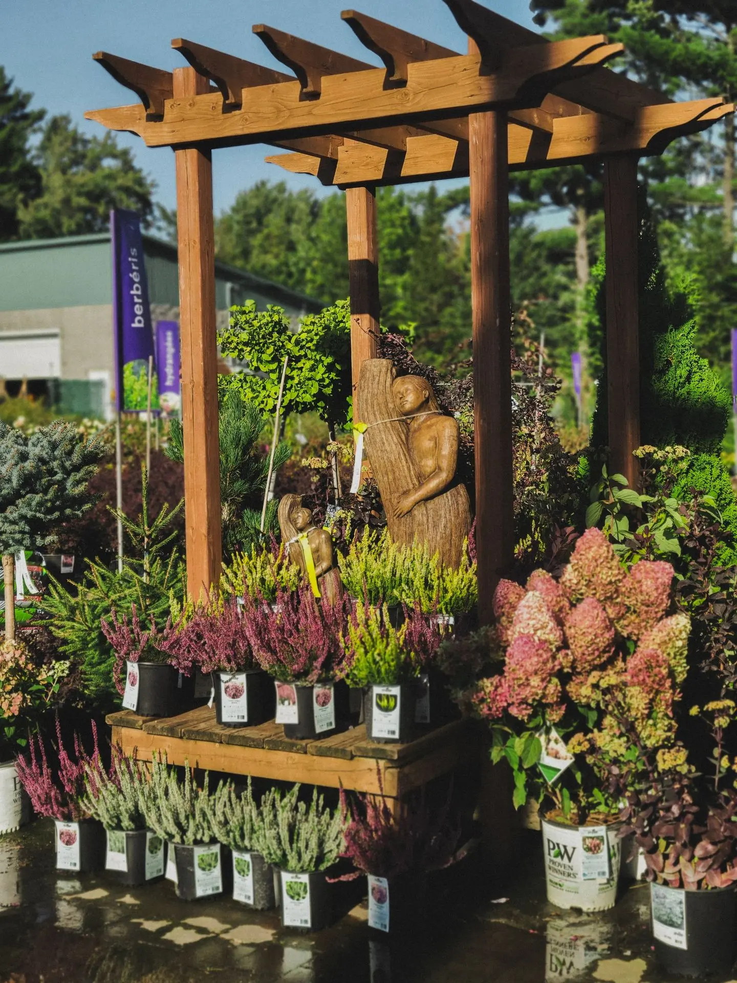 Serres St-Élie_Politique de garanties_Végétaux_Plantes