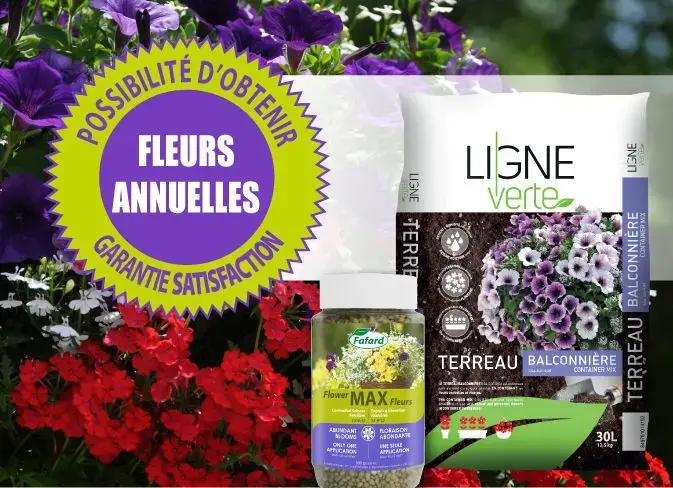 Serres St-Élie_Politique de garantie_Fleurs annuelles