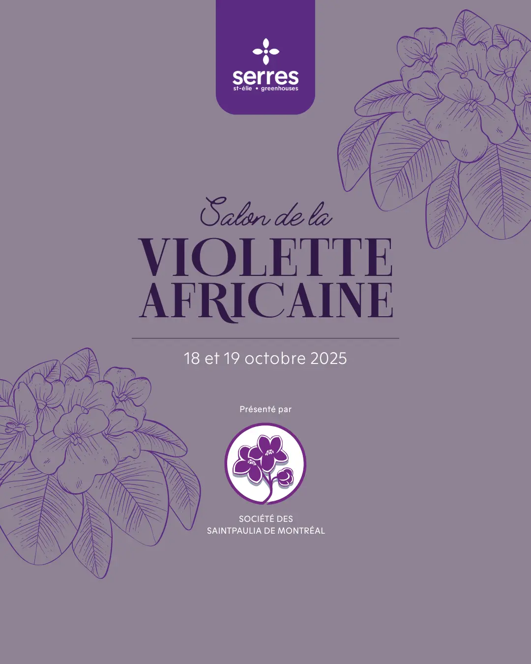 Salon de la Violette Africaine Serres St-Élie