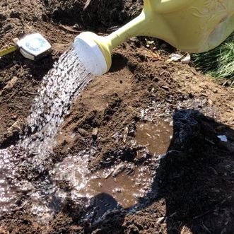 ÉTAPE 5 : Arrosage de la plantation ÉTAPE 5 : Arrosage de la plantation