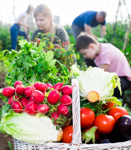 Jardiner avec les enfants Jardiner avec les enfants