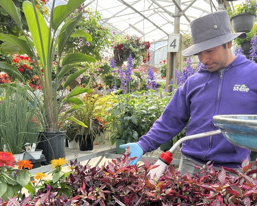 Rendez-vous vert - Aménagement de jardinières, pots, balconnières d'annuelles